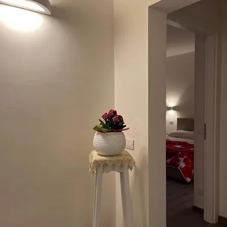 Elena 塞尔瓦·迪·法萨诺